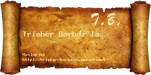 Trieber Borbála névjegykártya